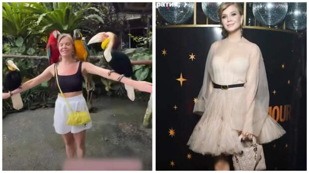 Для Аллы Михеевой войны нет. Зато есть гонорары и сумочки за полмиллиона