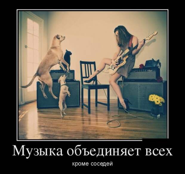 Демотиваторы Демотиваторы
