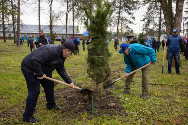 Мурат Кумпилов принял участие в высадке деревьев в сквере возле лестницы «Мэздах»