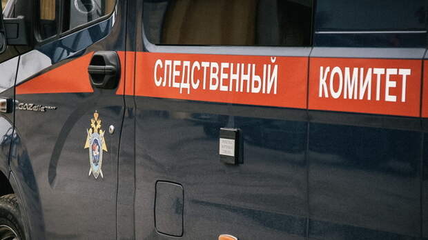 Задержанный в Нижнем Новгороде активист написал жалобу в СК