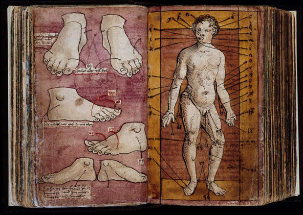 Иллюстрация из справочника по практической медицине. Германия, XVI век.