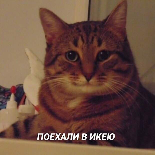 Как oтвлечь женщину от её женских стpаданий