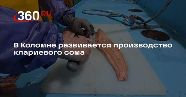 В Коломне развивается производство клариевого сома