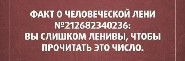 Это факт ) Это факт )