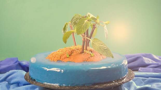 Необычный торт «Необитаемый остров»: нравится абсолютно всем