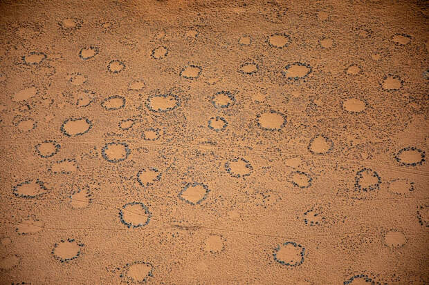В Намибии (Африка) «ведьмиными кругами» покрыты огромные площади. Фото: CharlotteLouiseB/Shutterstock/Fotodom.