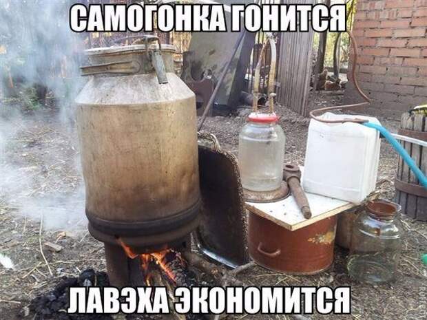 Приколы