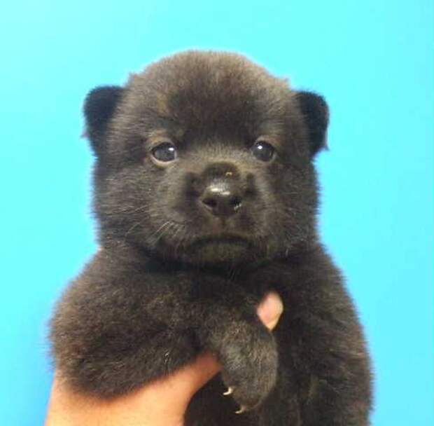 Позитивный микс (47фото)