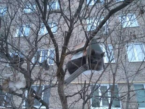 Паранормальных пикч