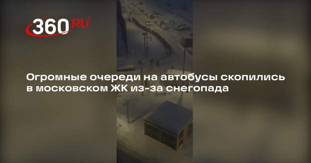 Огромные очереди на автобусы скопились в московском ЖК из-за снегопада