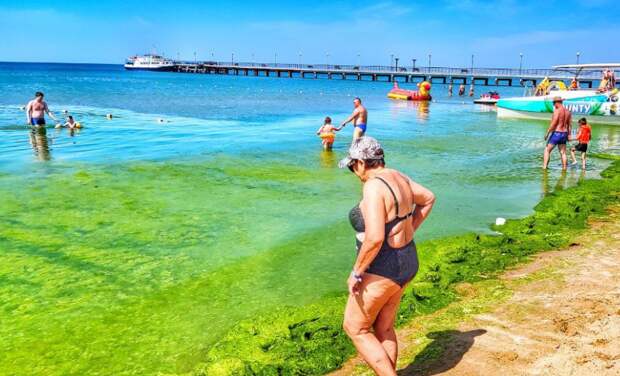 Туристка назвала Черное море в Анапе “бульоном из медуз и водорослей”