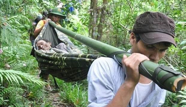 В джунглях Вьетнама нашли семью, скрывавшуюся более 40 лет от бомбежек США вьетнам, джунгли