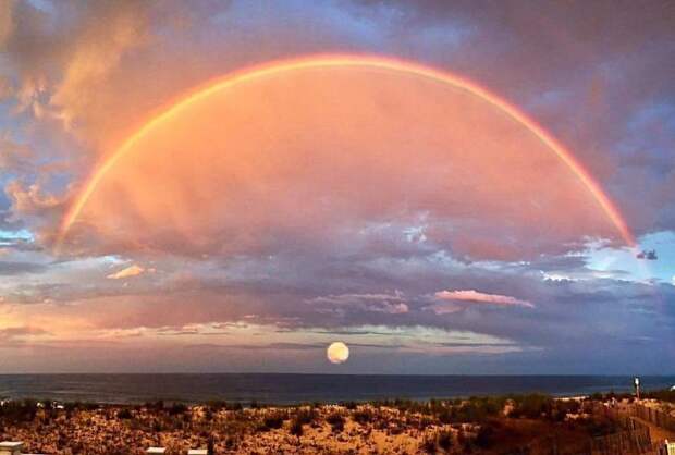 Блог - 25 поразительных фото, на которых нет фотошопа 25 поразительных фото, на которых нет фотошопа