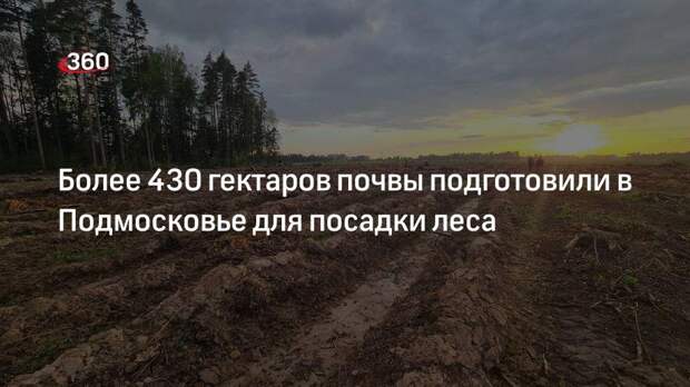 Более 430 гектаров почвы подготовили в Подмосковье для посадки леса