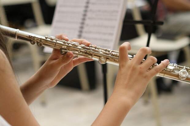 Флейта как музыкальный инструмент: её виды и строение