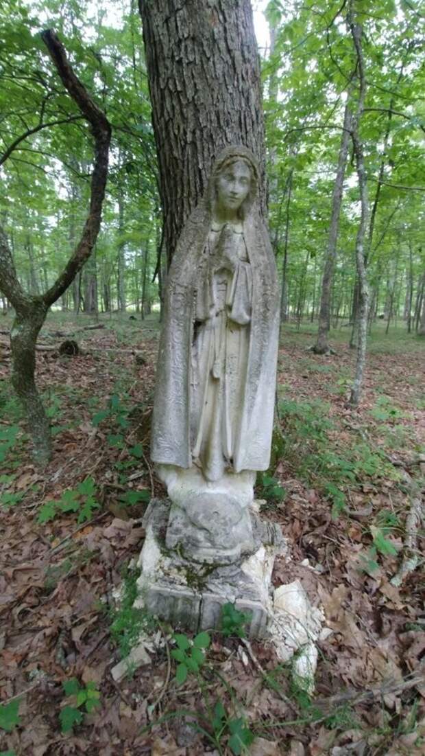 Дева Мария в лесу в Западной Вирджинии Дева Мария в лесу в Западной Вирджинии