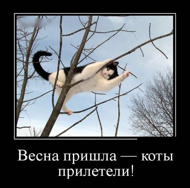 Демотиваторы (30 фото)