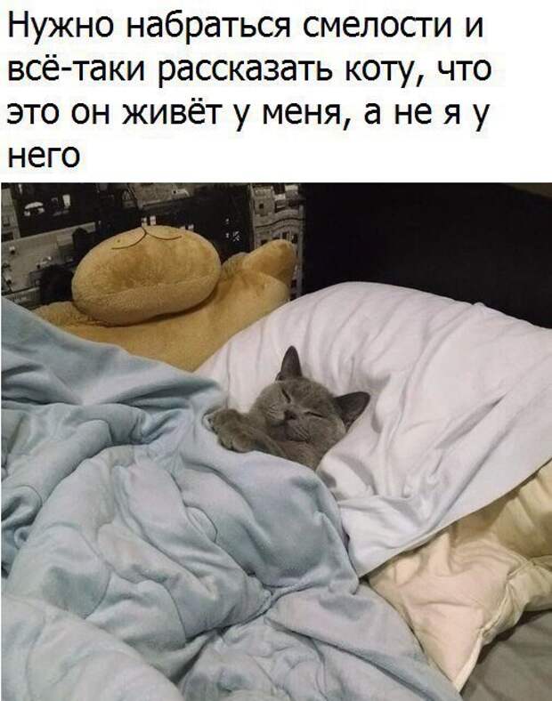 Прикольные фото