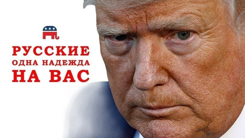 Друзья, кто может помочь? Друзья, кто может помочь?