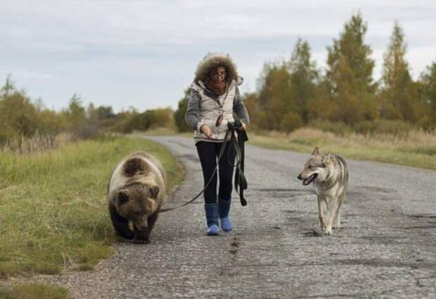 Фото, которые возможно было сделать только в России. Часть 41 (51 фото)