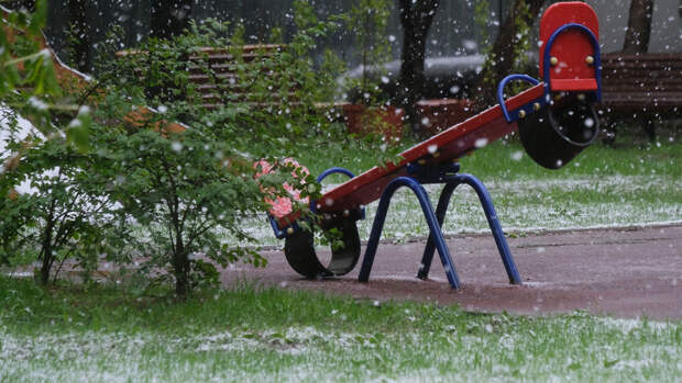 Биолог Сафонов: снегопад весной защищает корни растений от вымерзания