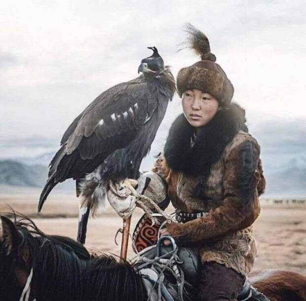 Удивительные яркие факты о Монголии