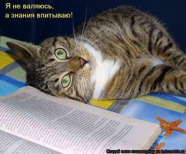 Мысли вслух :)