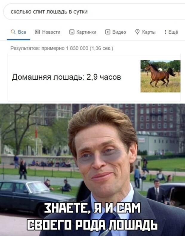Смешные фото вечер 20 августа 2020