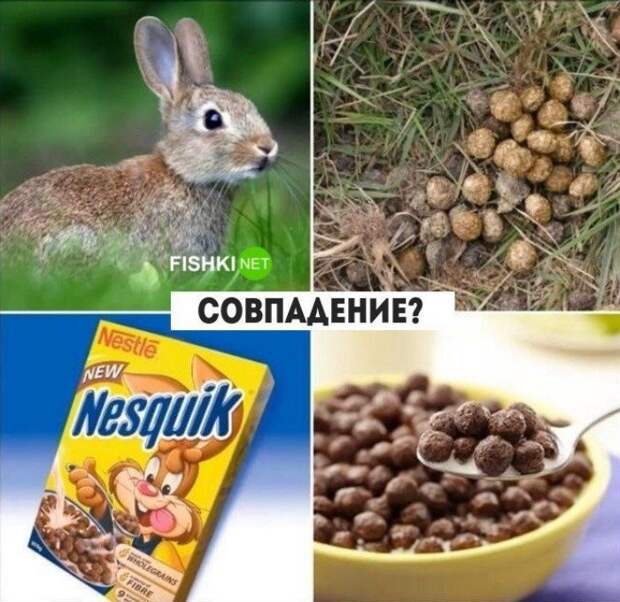 Совпадения? Шо, опять?!