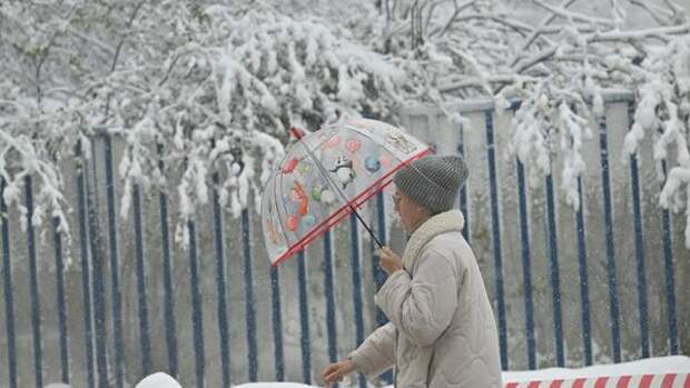 Синоптик Позднякова объявила, когда закончится снежный апокалипсис в Москве