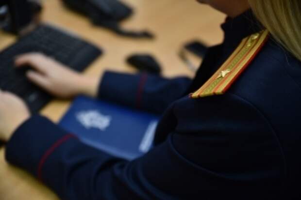 Председатель СК России запросил доклад о ходе расследования уголовного дела по факту убийства несовершеннолетней в Республике Коми