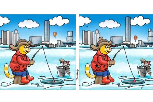 Кот-рыбак, птица и 43 секунды: найдите 11 отличий на картинке