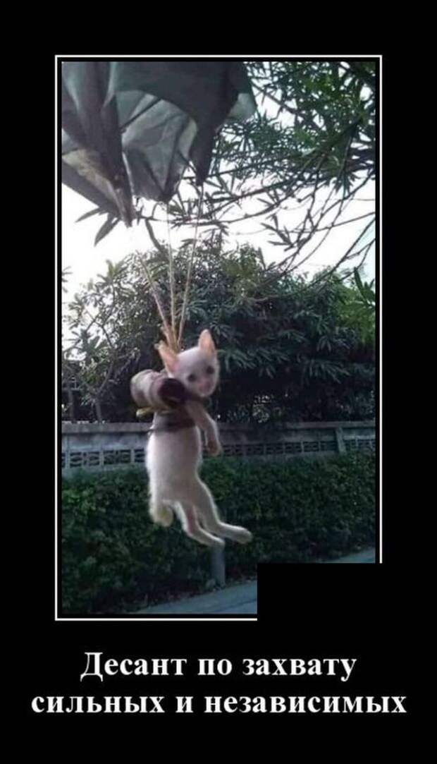 demotivatory-demotivator-smeshnye-demotivatory-demotivator-so-smyslom