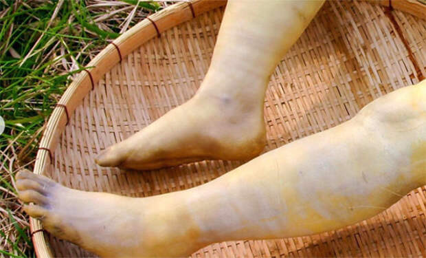 Китайские фермеры вырастили редис в форме реальных ног: теперь от заказов нет отбоя