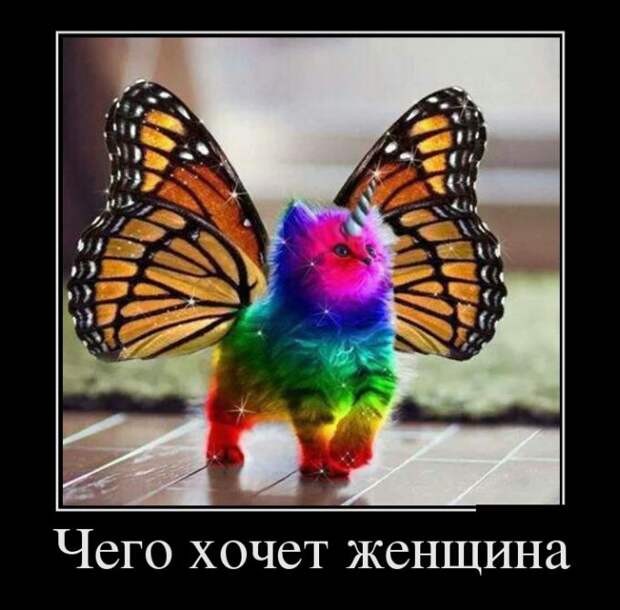 Демотиваторы (30 фото) Демотиваторы (30 фото)
