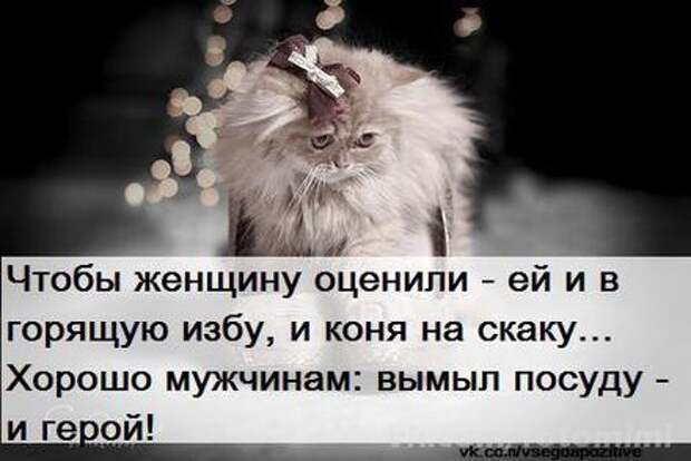 Женщина коня на скаку остановит в горящую избу войдет картинки