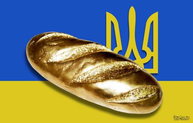 Армовир, ангел в гольфах и лев с хозяйством. Почему эскиз нового герба Украины вызвал скандал