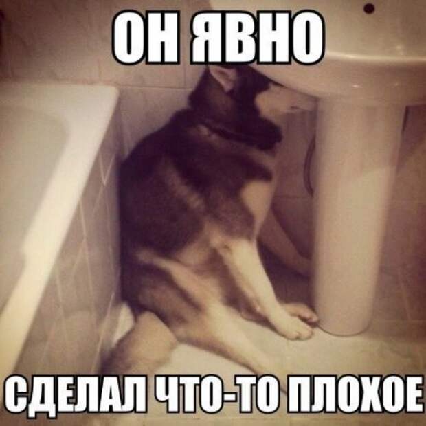 Октябрьские шутки.