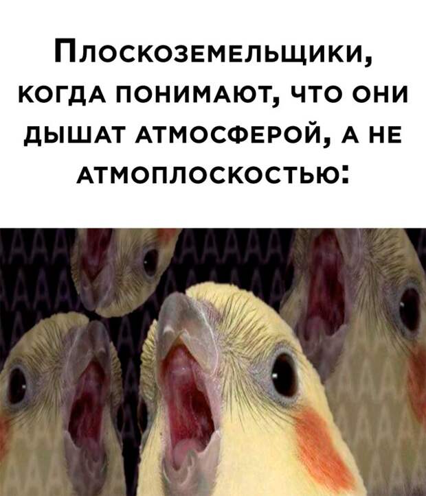 Смешные картинки вечер 8 сентября 2021 года