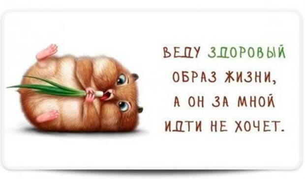 Позитив так и прет...