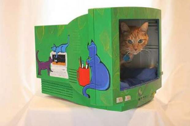 Котодизайн