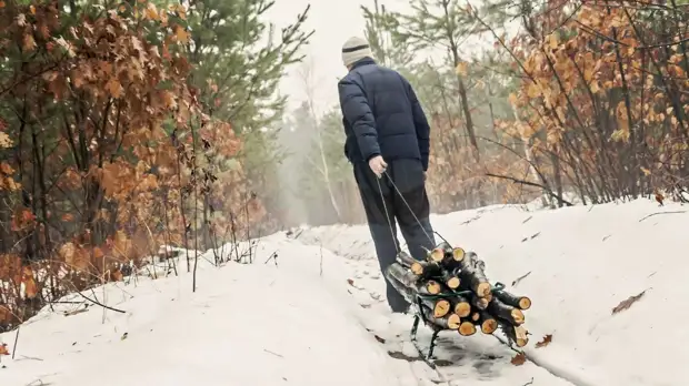 Востоковед Котков: России грозит экономическая зависимость от Китая
