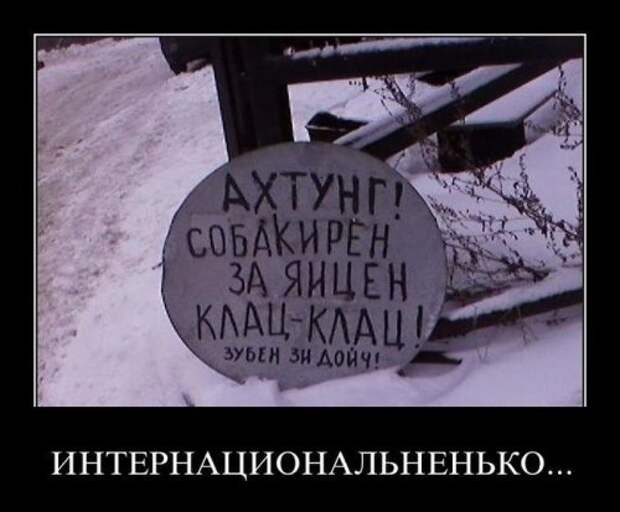 Прикольные демотиваторы (25 шт)