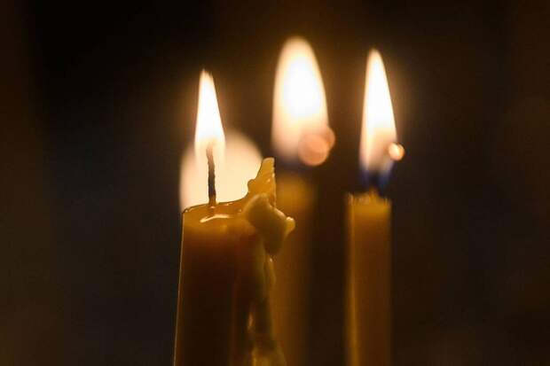 «С глубокой скорбью»: 60-летний актер из «Друзей» и «Где моя тачка, чувак?» скончался от онкологии