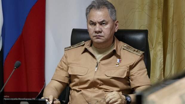 Шойгу заявил о полностью выполненной задаче по борьбе с боевиками в Сирии Шойгу заявил о полностью выполненной задаче по борьбе с боевиками в Сирии