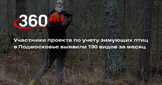 Участники проекта по учету зимующих птиц в Подмосковье выявили 130 видов за месяц