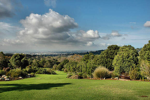 Национальный ботанический сад Кирстенбош (Kirstenbosch National Botanical Garden)