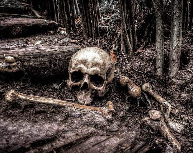 Они ждут в наших лесах: 10 смертельных опасностей для любителей природы