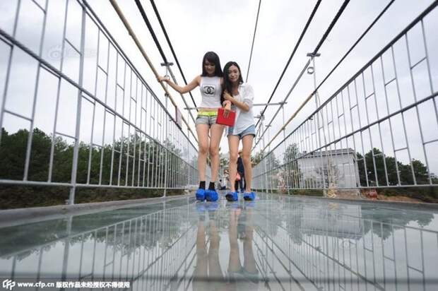 Подвесной мост со стеклянным полом длиной в 300 метров (2)