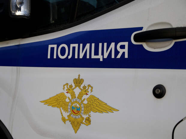 В Мытищах судимый за сексуальное преступление расчленил судимого за грабеж